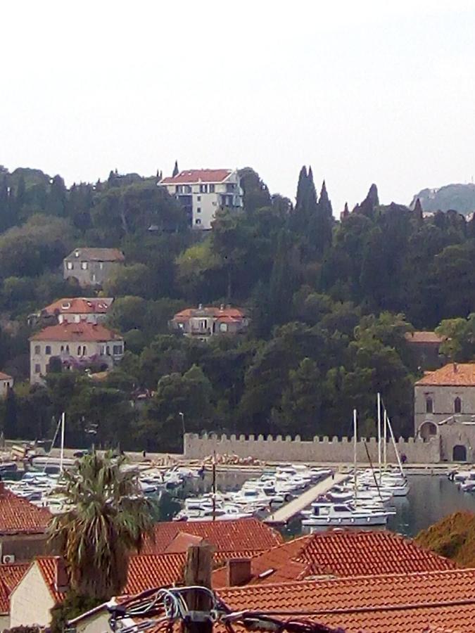 Apartman Ivana Daire Dubrovnik Dış mekan fotoğraf